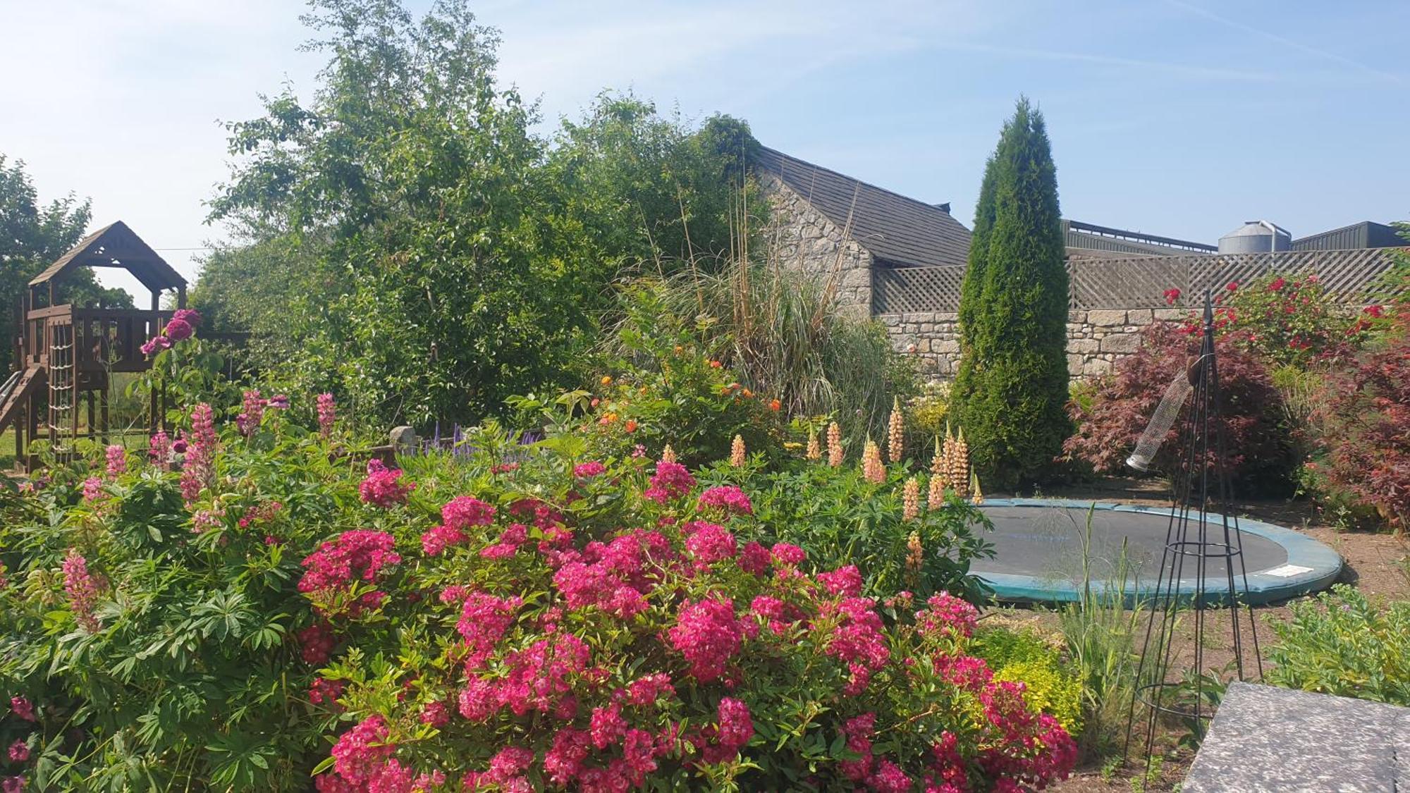 Grove Cottage At The Lodge Tullow Zewnętrze zdjęcie